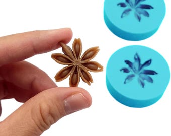 Puede incluir: Una especia de anís estrellado marrón sostenida entre los dedos, junto a dos moldes de silicona azules. La especia tiene forma de estrella con múltiples puntas. Los moldes son redondos con un diseño de anís estrellado.