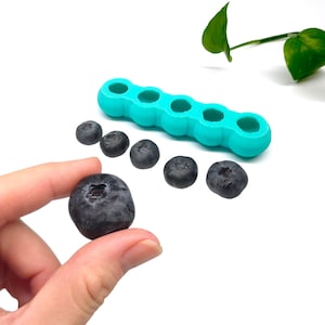 May include: A bright turquoise silicone mould with five circular cavities arranged in a linear row, accompanied by five fresh, dark blue blueberries, with one additional blueberry held in the foreground to show scale.