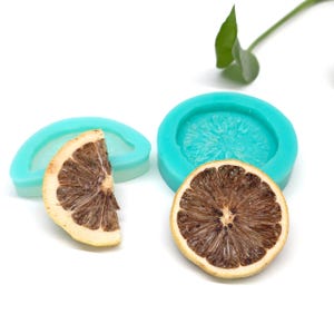 May include: Two turquoise silicone moulds for crafting, one circular and one semi-circular, paired with two dried citrus slices. The moulds feature detailed textures for casting, while the dried fruit slices show natural brown and yellow tones.