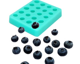 May include: A rectangular, light teal silicone mold featuring twenty circular cavities arranged in a grid pattern, accompanied by a scattering of fresh, dark blue blueberries positioned in front of the mold on a plain white background.