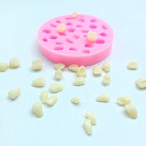 Imitation Human Teeth Tooth Teeth silicone mold teeth mold tooth mold multiple cavities | Soap | Candle | Mold for Wax | Mold for Resin