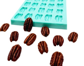 May include: A light blue silicone mold with multiple pecan-shaped cavities. Several brown pecan halves are scattered around the mold. The pecans have a textured surface and are a rich brown color.