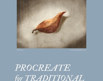 Procreate for Traditional Artists - A Technical Orientation Guide