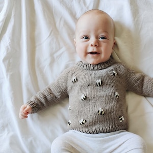 Embroidered Sweater Knitting Pattern for baby and toddler - PDF Knitting Pattern - Buzz Sweater Knitting Pattern in Sport Yarn