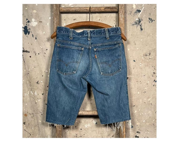 Big E ‘70s Levi's Orange Tab Jean Shorts