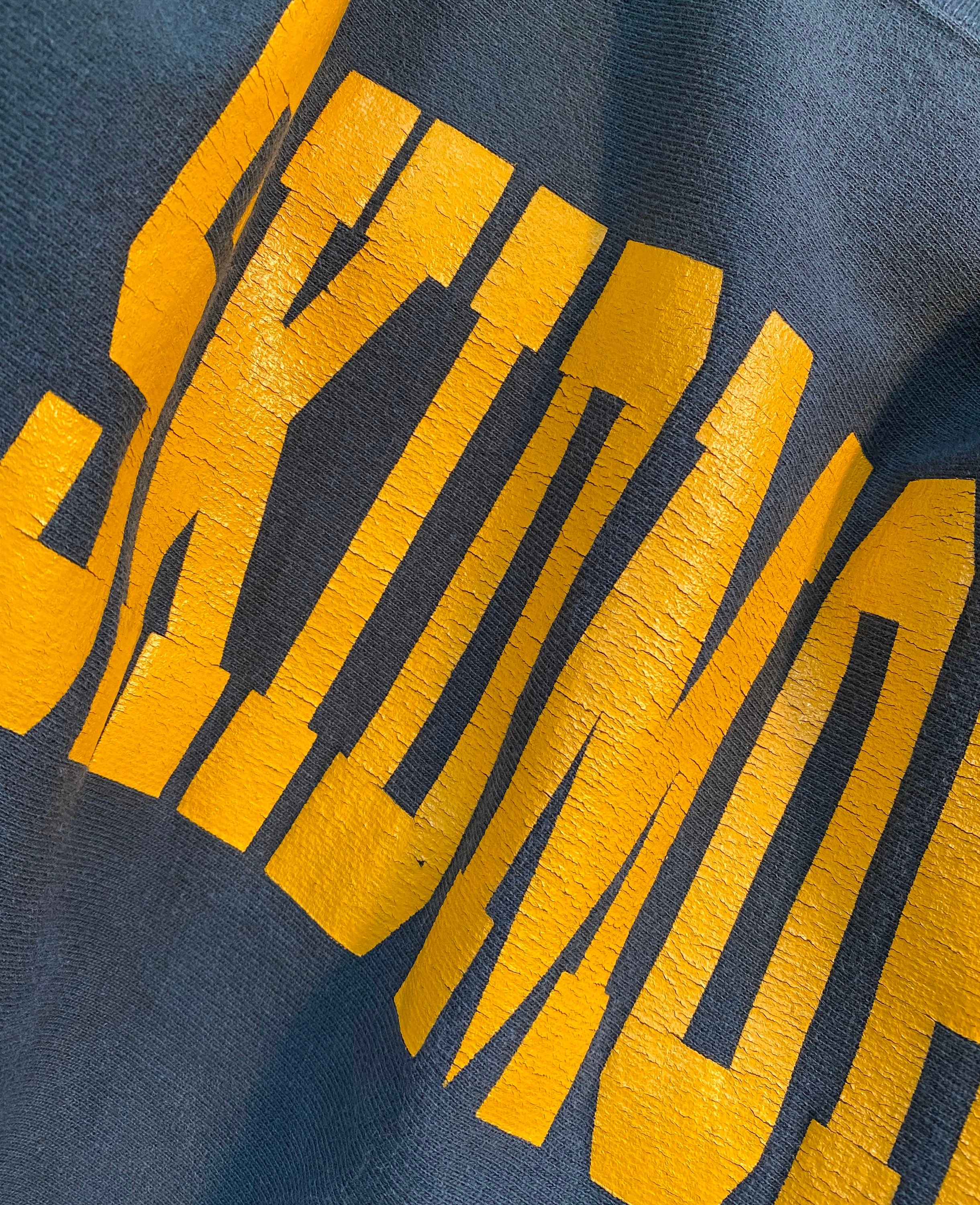 90s Champion Reverse Weave Sweatshirt Skidmore College