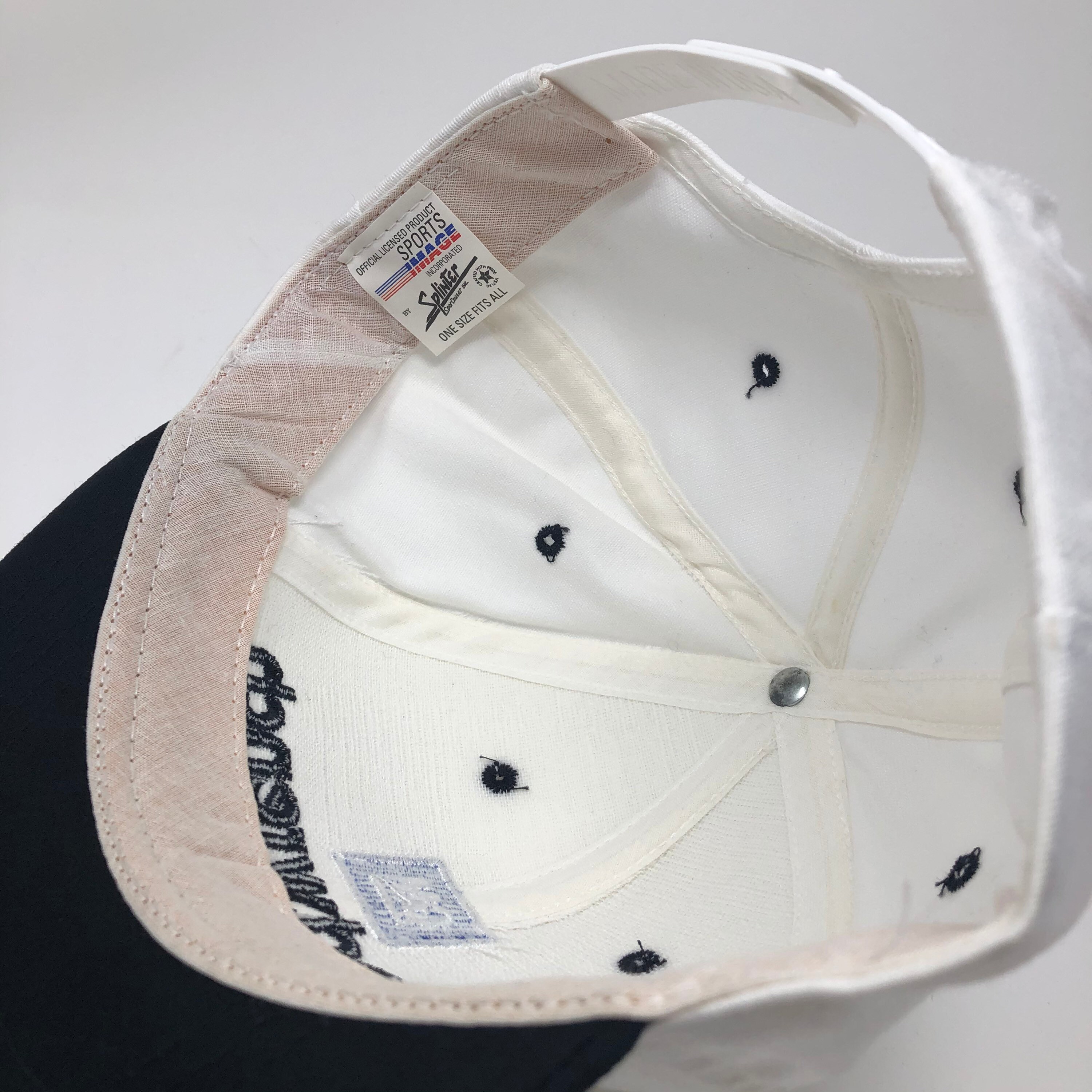 Dale Earnhardt snapback hat