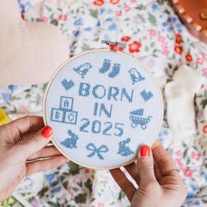 Borduurpakket Born in 2025