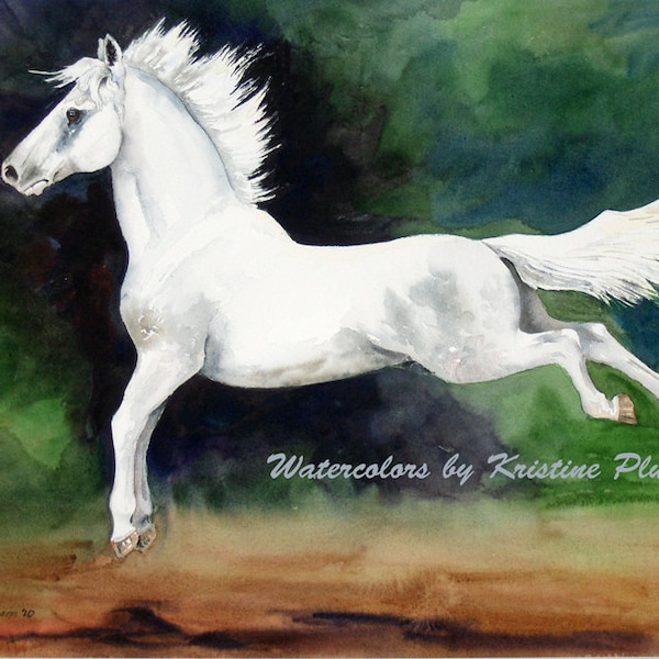 Horse Notecard Lipizzaner horse watercolor Painting Leaping Lipizzan by Kristine Plum stationary