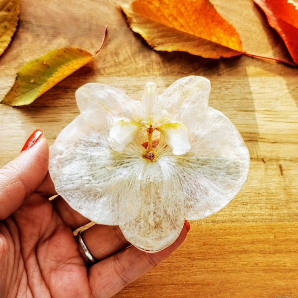 Barrette de cheveux de fleur d’orchidée blanche. Barrette de fleur de résine. De vrais accessoires de cheveux Orchid. Épingles à cheveux florales. Barrette de cheveux de fleurs pressées