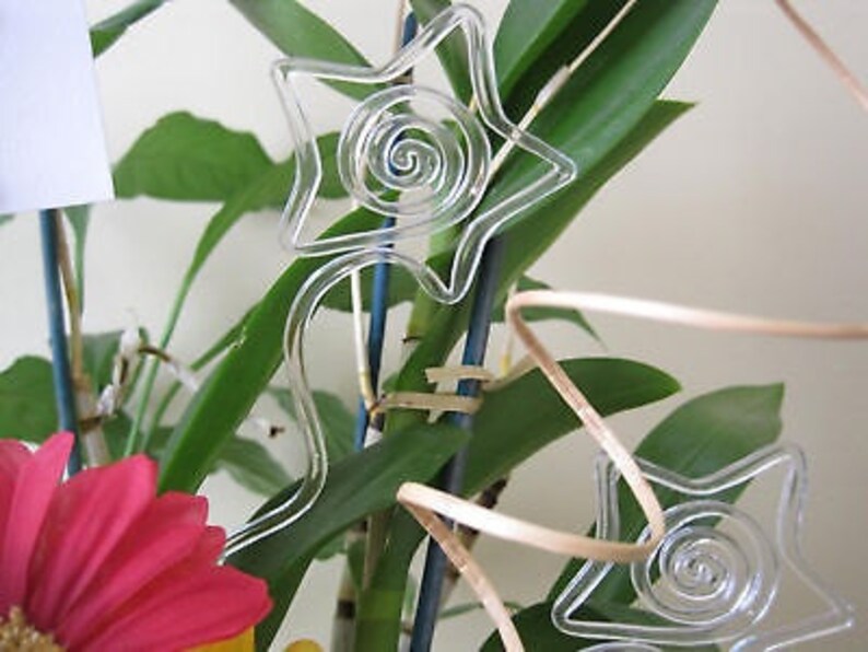 Floral Picks Pk/25 STARS Clear Card Holders 12 Etsy