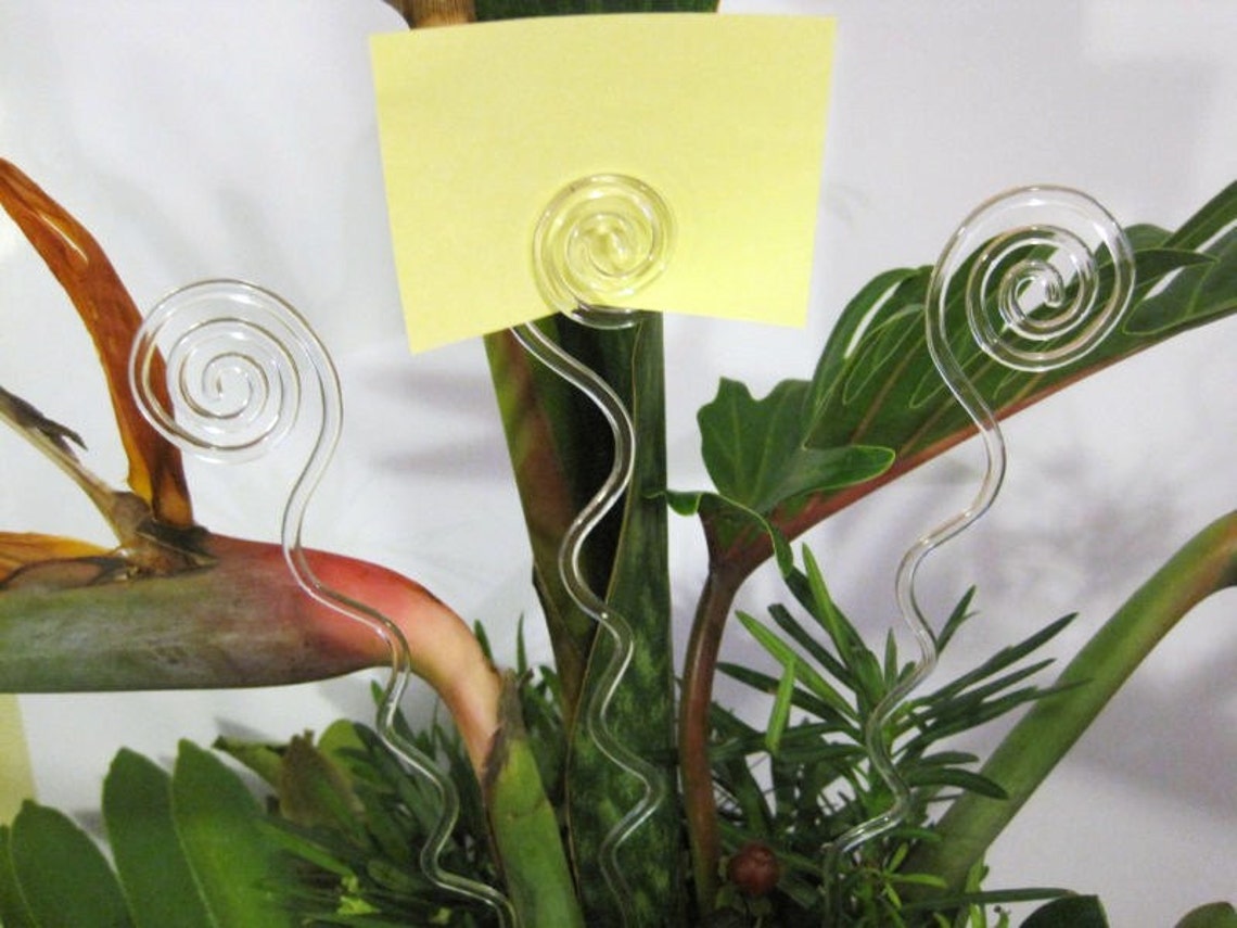 Floral Picks Pk/50 COILS Clear Card Holders 12 Etsy
