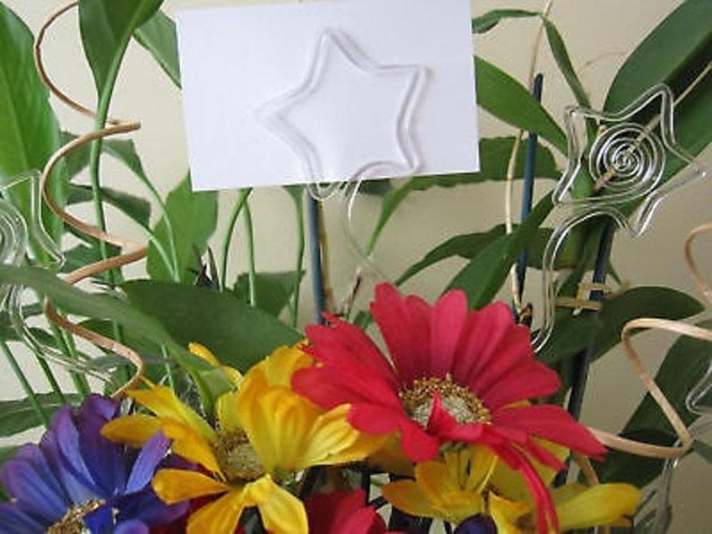 Floral Picks Pk/25 STARS Clear Card Holders 12 Etsy