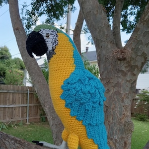 May include: A crocheted blue and yellow parrot with a black beak and white eyes. The parrot is perched on a tree branch.