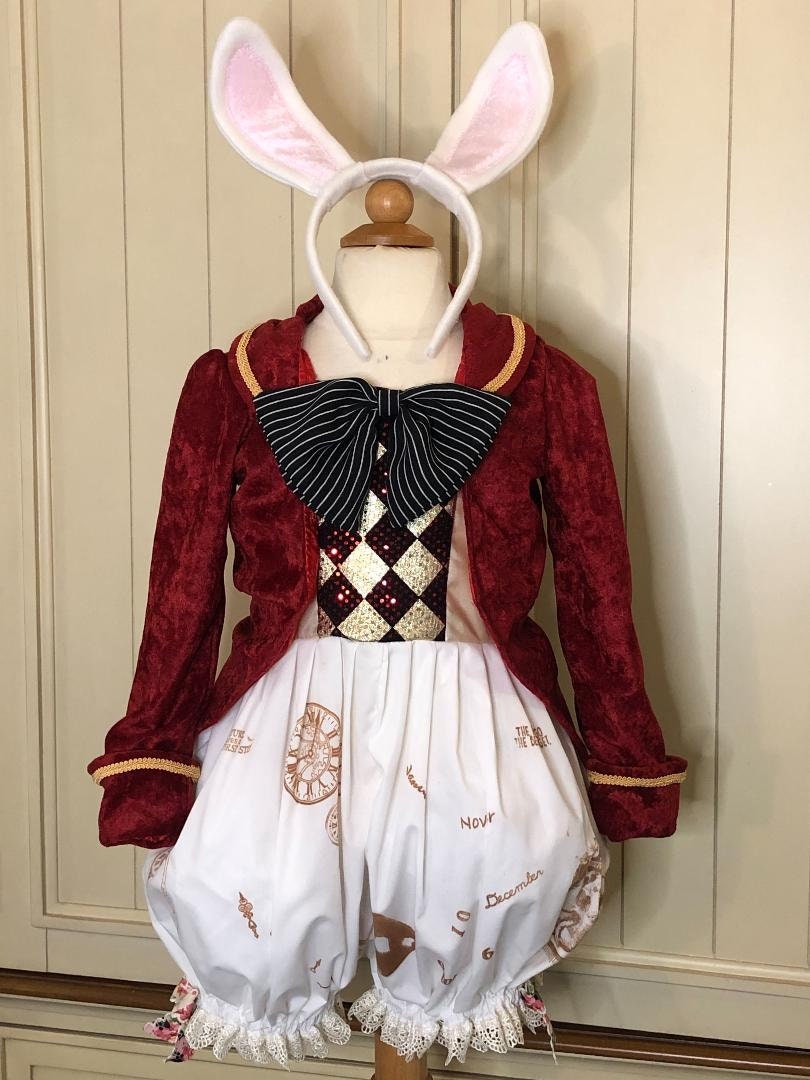 Alice In Wonderland Rabbit Costume