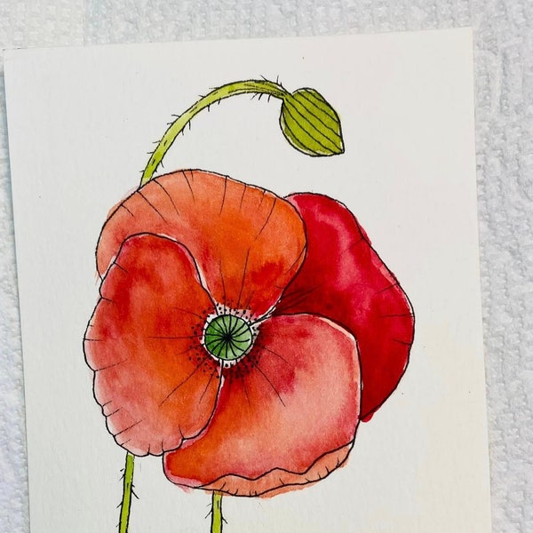 Handpainted Watercolor Poppy Postcard and two Daffodil cards on Strathmore watercolor cards with envelopes in cellophane bags.