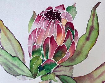 Watercolor Protea plant painted on Arches Cold Press paper size 9 x 12 inches.