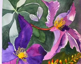 Watercolor Clematis and pods with Orange Flower Vine painted on Arches Cold Press paper 12 x 16 inches.