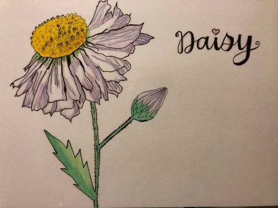 Crayon De Couleur Dessin Avec Le Lettrage De Nom Ou Une Phrase Courte