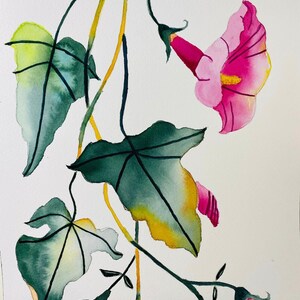 May include: Watercolor painting of a pink morning glory vine with green leaves. The vine is depicted with a delicate, flowing line and the flower is rendered in soft, pastel hues.