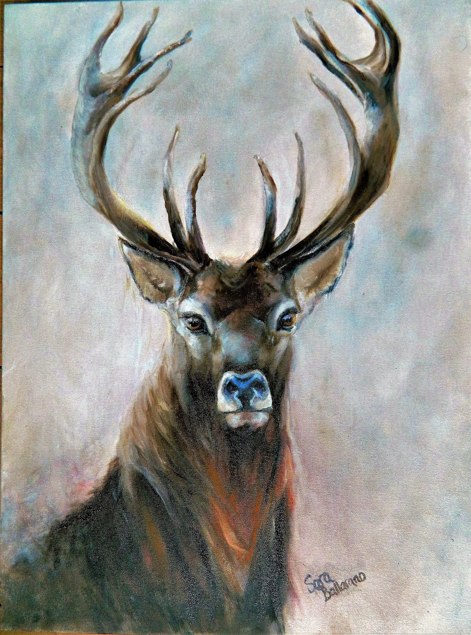 Stag greeting card from an original oil painting by Sara Etsy