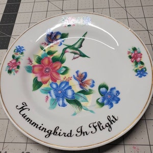 Colibri dans la plaque de déco de vol