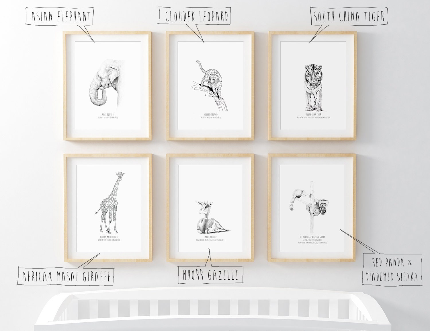 1 Animal Print for Nursery Baby Room Decor | Etsy