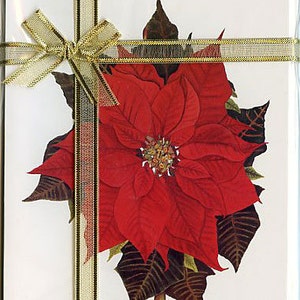 Cadeaupakket met lint van 4 kaarten, kerstster, vier notitiekaarten - wit papier met bijpassende enveloppen