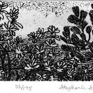 Tree Tops - Original Etching & Engraving, Hand-printed, Limited Edition