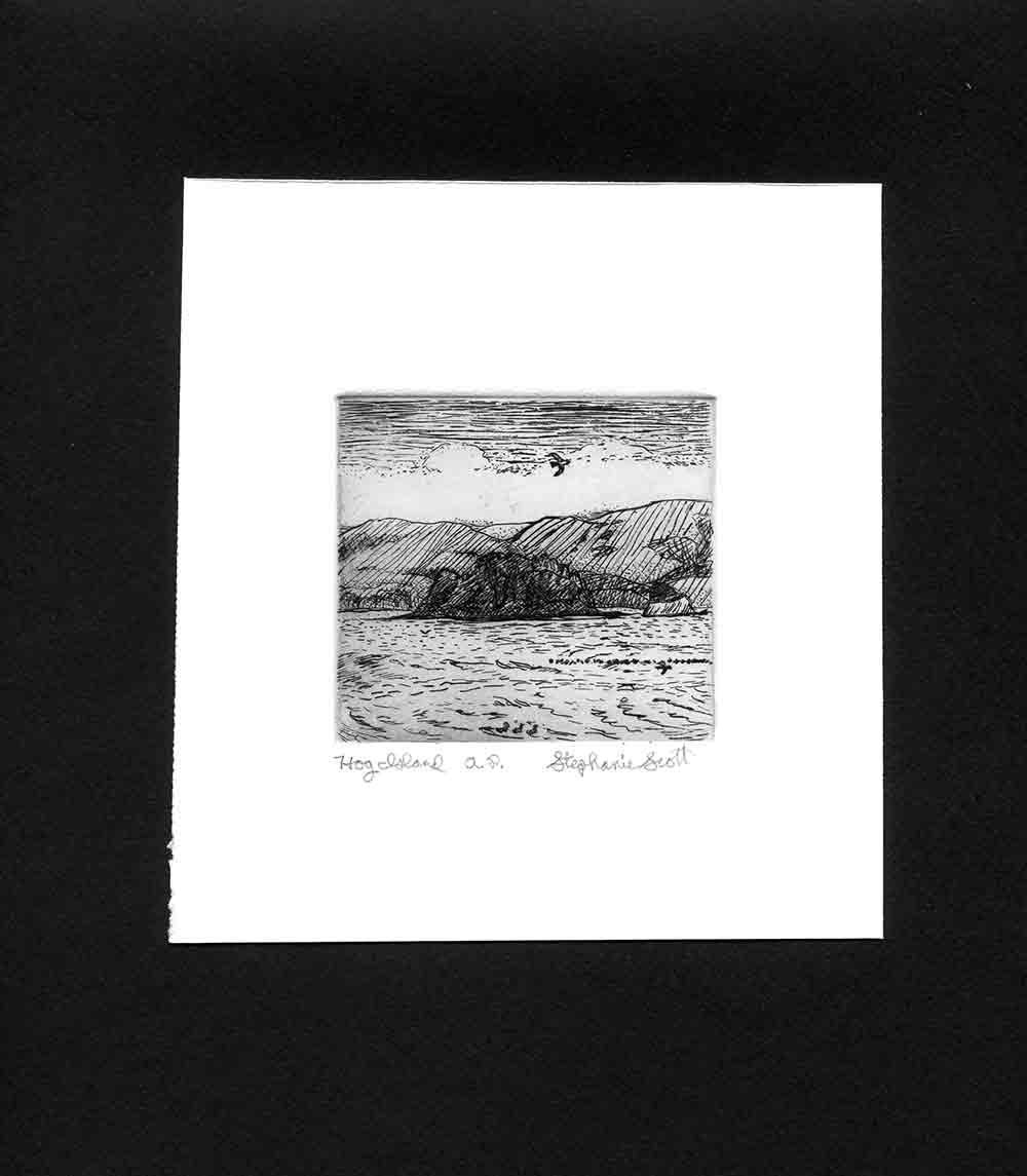 Hog Island Original Intaglio Etching & Engraving Etsy