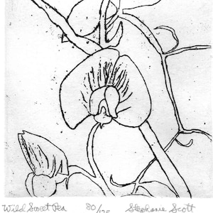 Wild Sweet Pea - Original Etching & Engraving, Hand-printed, Limited Edition