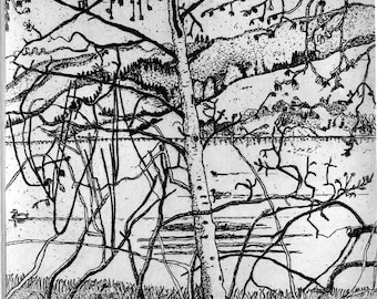 Bolinas Lagoon  - Original Etching & Engraving, Hand-printed, Limited Edition