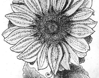 Sunflower - Hand Printed,  Black & White  Original Intaglio Etching and Engraving, Limited Edition, Flower, Botanical, Print