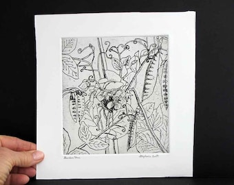 Garden Peas - Hand Printed, Black & White, Original Intaglio Etching and Engraving, Limited Edition, Flower,Garden,Drawing, Botanical, Print