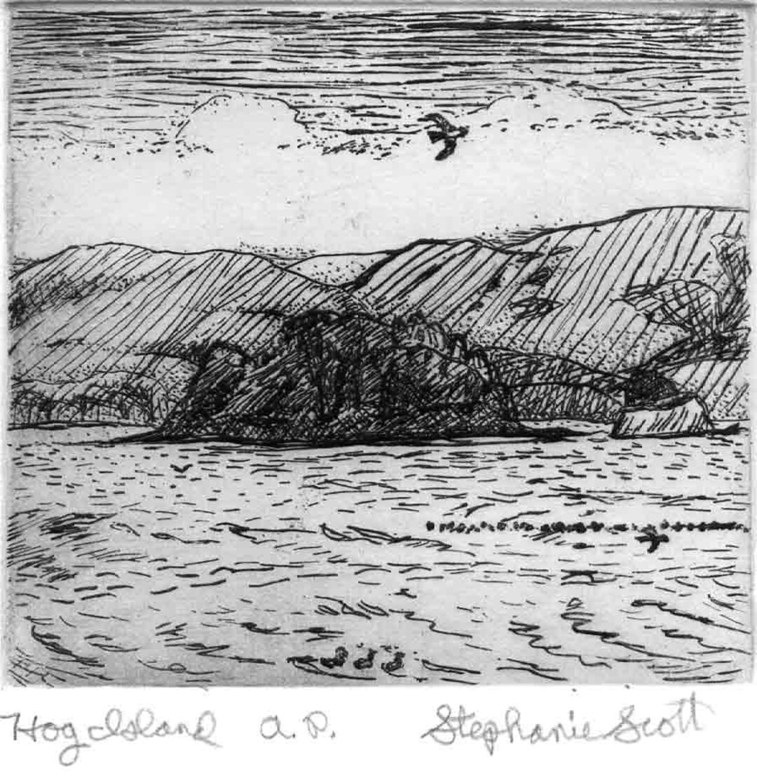 Hog Island Original Intaglio Etching & Engraving Etsy