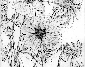 Dahlias  - Hand Printed, Black & White Original Intaglio Etching and Engraving, Limited Edition, Flower, Botanical , Flower Print, Garden