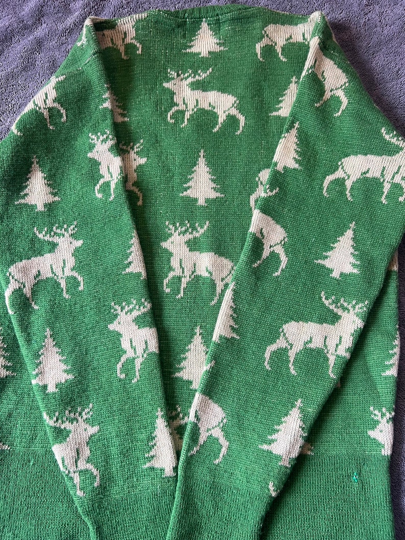 May include: Green knitted sweater with a white reindeer and pine tree pattern.