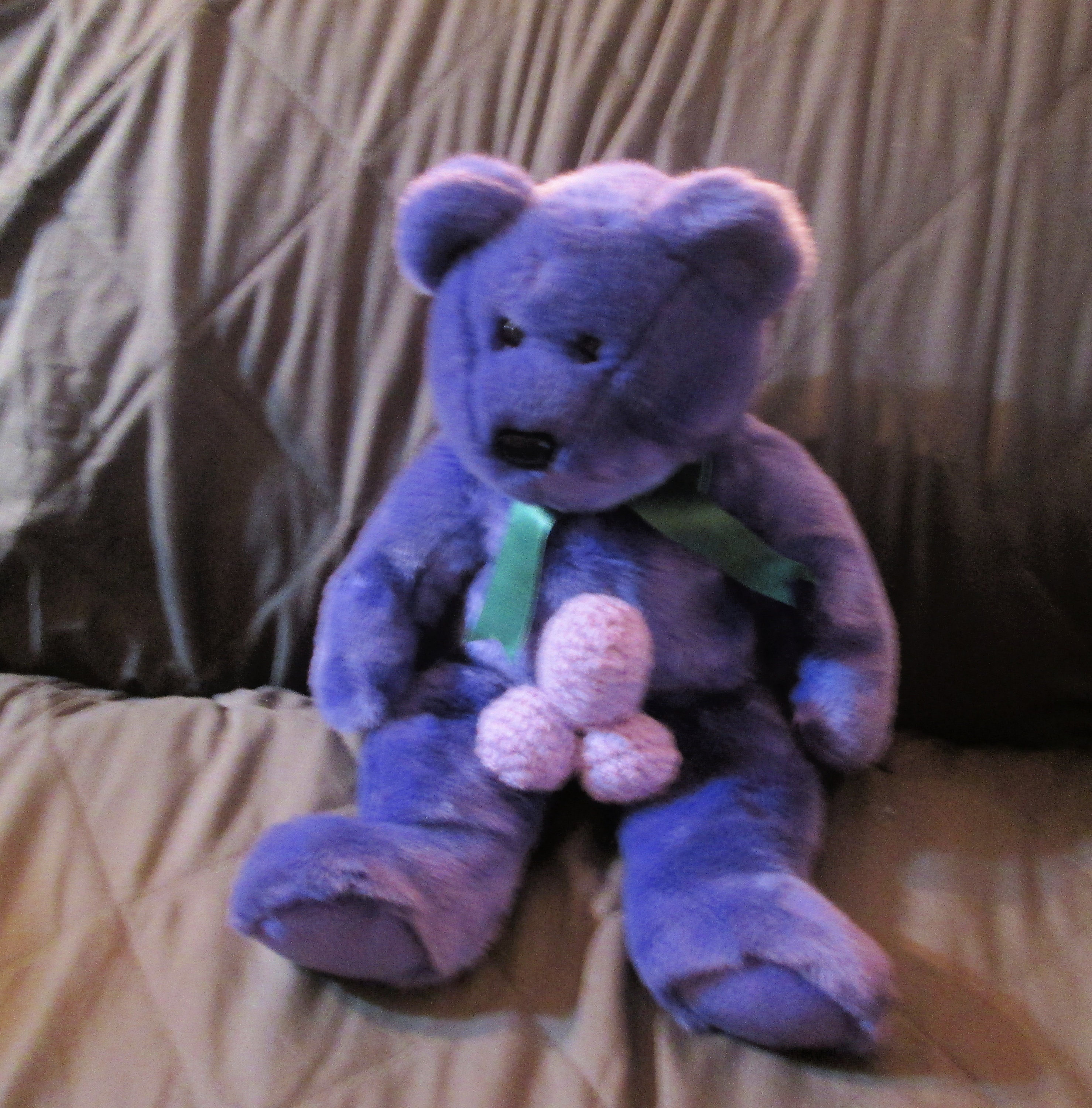 TEDDY WITH PENIS, plush teddy, gay teddy, bear with penis, x rated bear,  mature bear, dirty bear, bear gag gift, bear lover, naughty bear