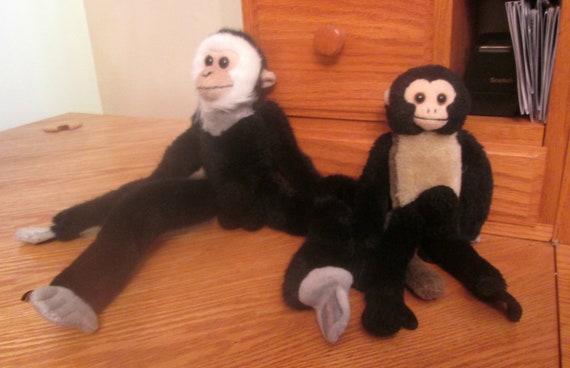 Cock gay monkey Transvestite orgy