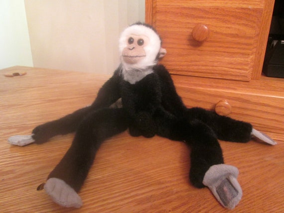 Cock gay monkey The video tube tranny shemale transex