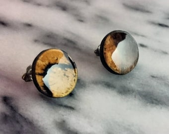 Spalted Beech stud earrings