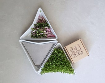Sprout tray 3 pieces, gray color, bioseeds, microgreen kit, germination tray