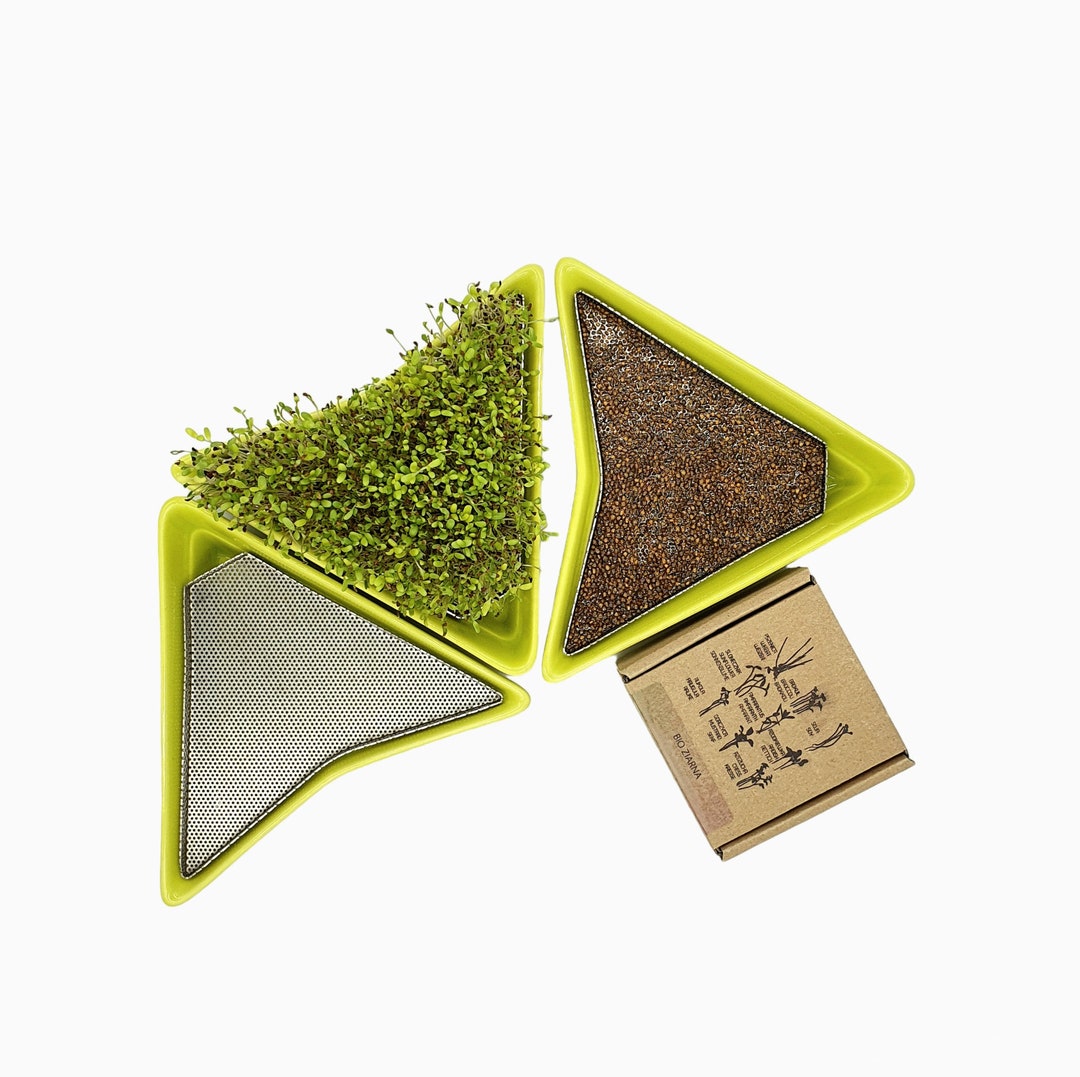 Sprouters, Sprouting Box, Sprouting Vessel, Sprouting Container - Etsy