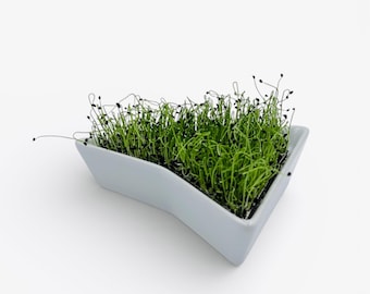 Sprout tray Light GREY microgreen tray