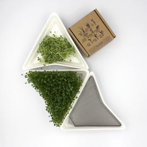 3 ceramic Sprouters, microgreen tray, sprout kit, germination kit
