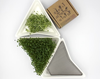 Ceramic Sprouter with Stainless Steel Insert – Microgreens Growing Kit | Homegrown Greens | Eco Gift
