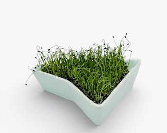 Mint Sprouter, sprout tray, microgreen kit, germinate kit