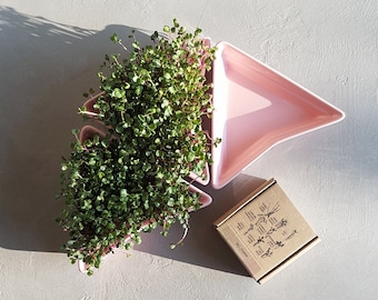 Sprouters 3 pieces, pink color, bioseeds, microgreens