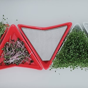 Sprout tray 3 pieces, red color, bioseeds, microgreen kit, germination tray