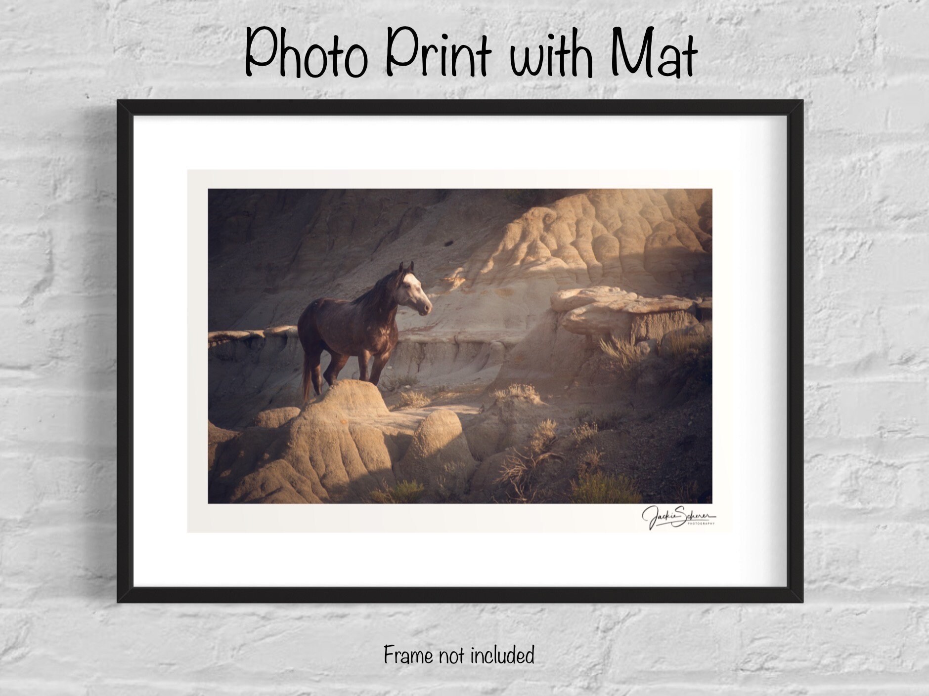 wild-horse-fine-art-photography-a-luring-stare-etsy